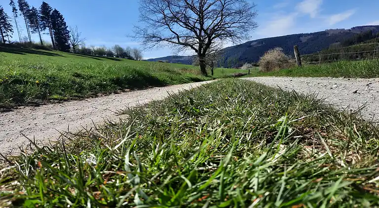 Ferielejlighed i Eslohe (Sauerland)