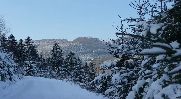 Ferielejlighed i Eslohe (Sauerland)