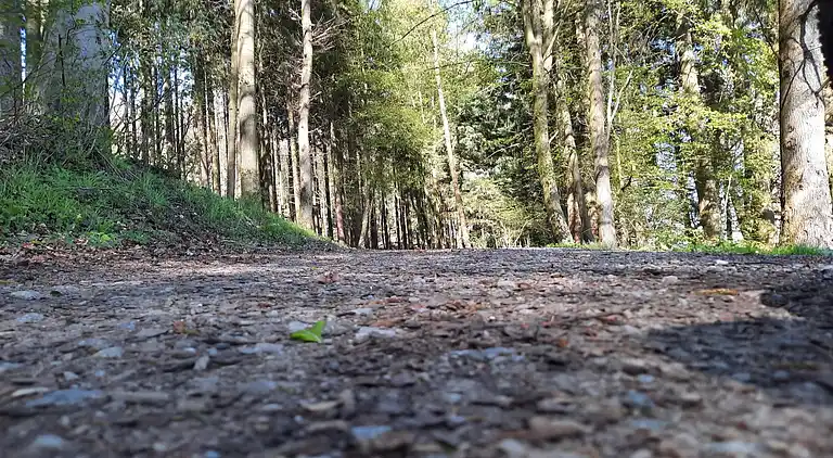 Ferielejlighed i Eslohe (Sauerland)