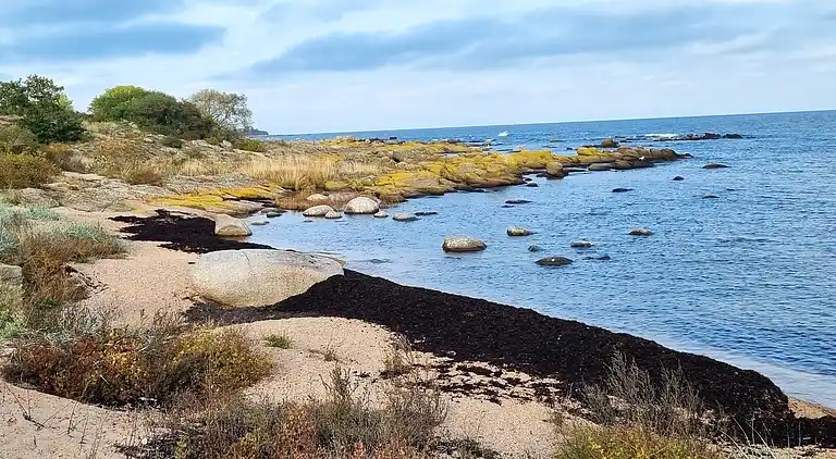 Sommerhus i Årsdale med smuk havudsigt
