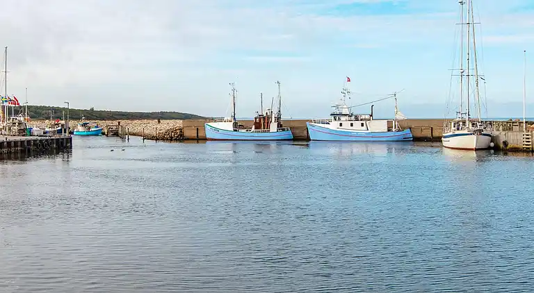 Sommerhus ved Bønnerup Strand