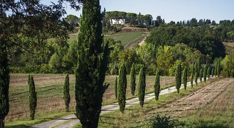 Holiday home in Peccioli