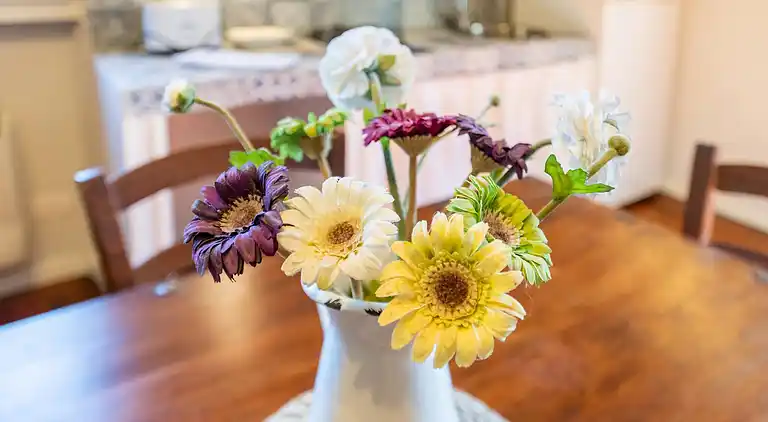 Bondgård i Municipio III