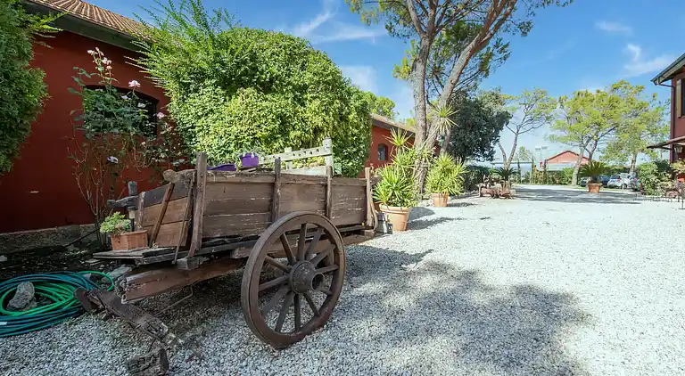 Bondgård i Municipio III