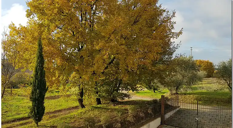 Villino Cortona - Holiday home in Tuscany