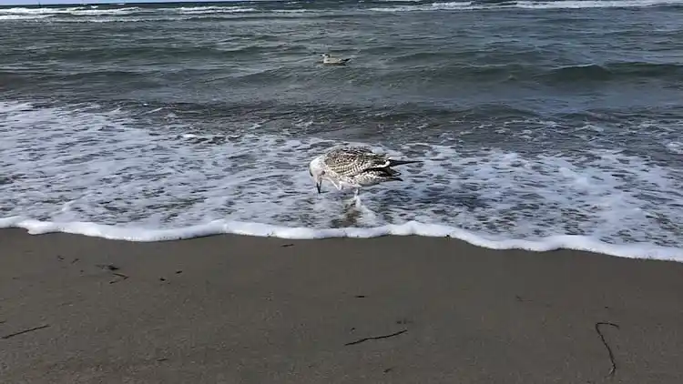 Ferielejlighed i Klütz