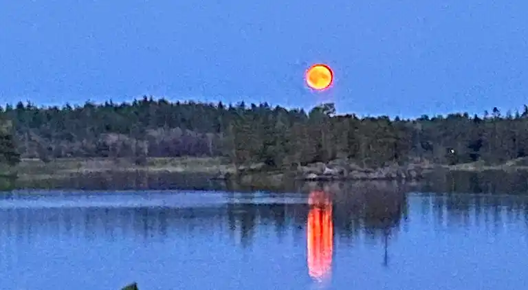 Sommerhus i Melleruds