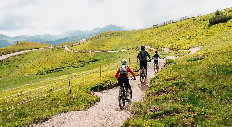 Cottage in Moarschaft