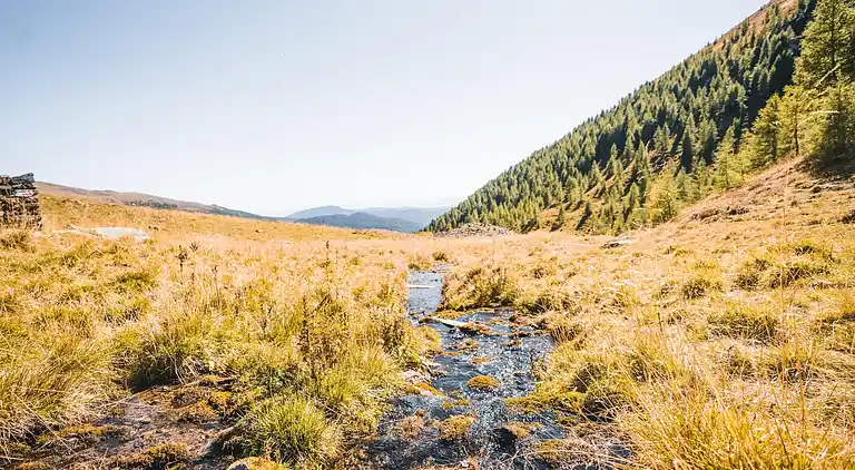 Apartment in Moarschaft