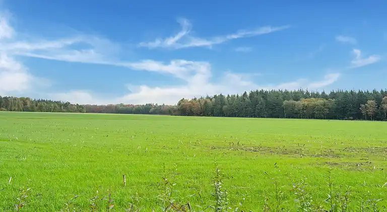 Holiday home in Goirle