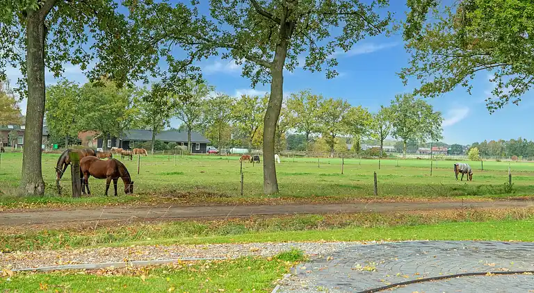 Holiday home in Goirle