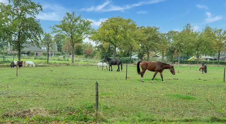 Holiday home in Goirle