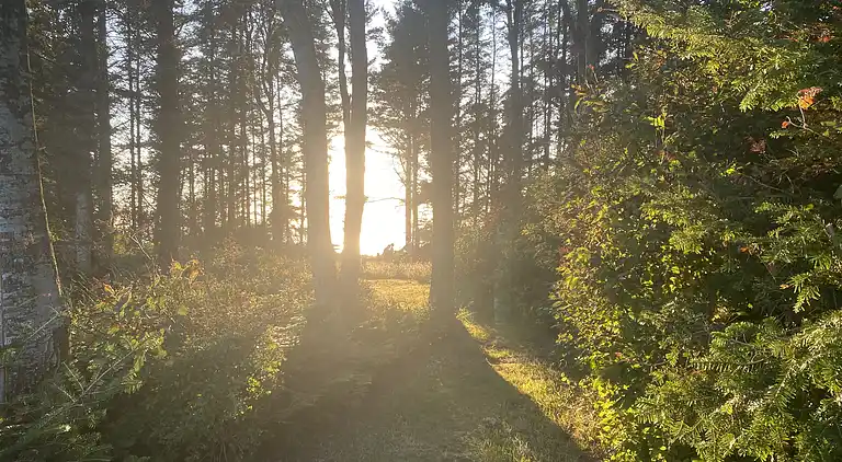 Idyllisches Sommerhaus am Wasser