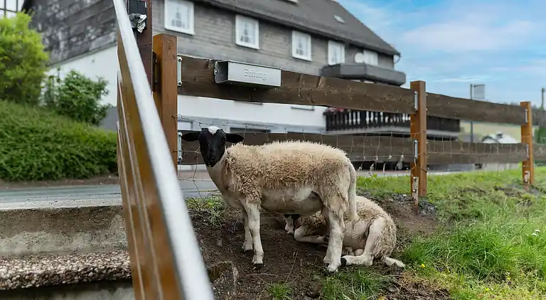 Ferienwohnung in Wissinghausen