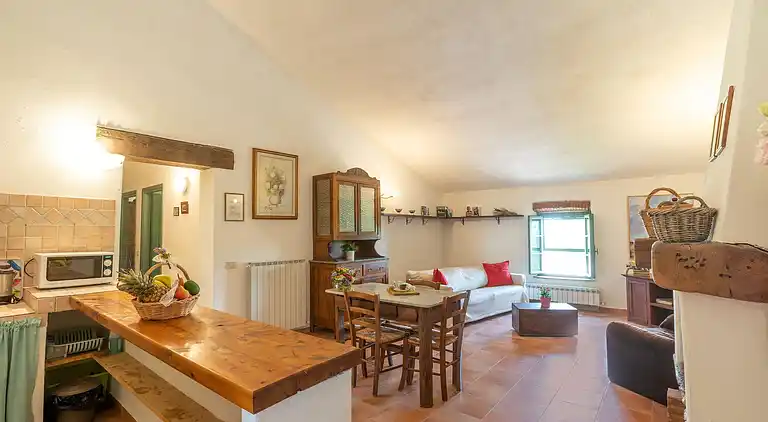 Farm house in Collesalvetti