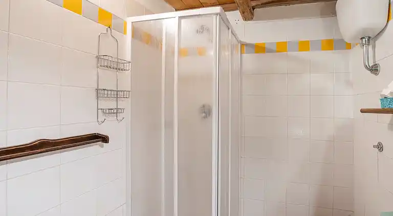 Farm house in Collesalvetti