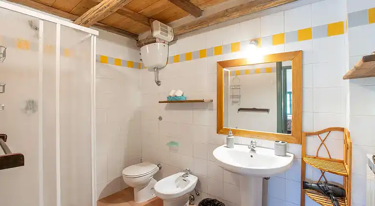 Farm house in Collesalvetti