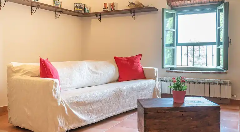 Farm house in Collesalvetti