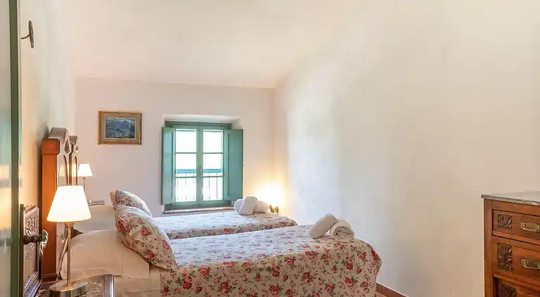 Farm house in Collesalvetti