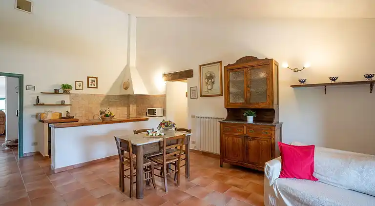 Farm house in Collesalvetti