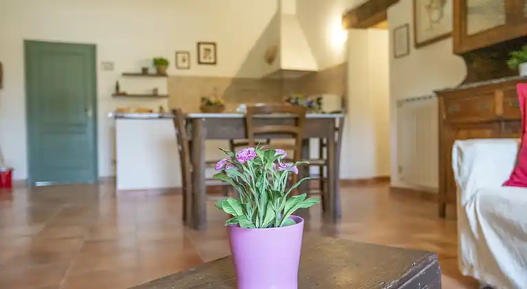 Farm house in Collesalvetti