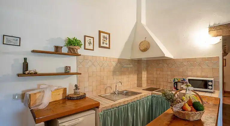 Farm house in Collesalvetti