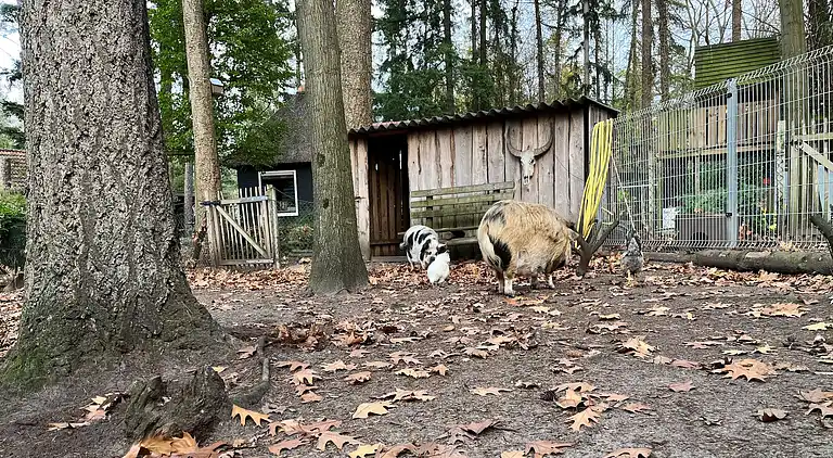 Holiday home in Lochem