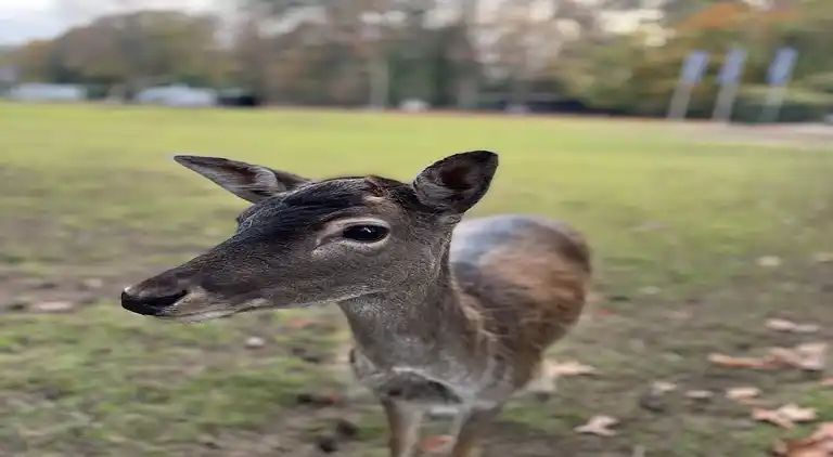 Holiday home in Lochem