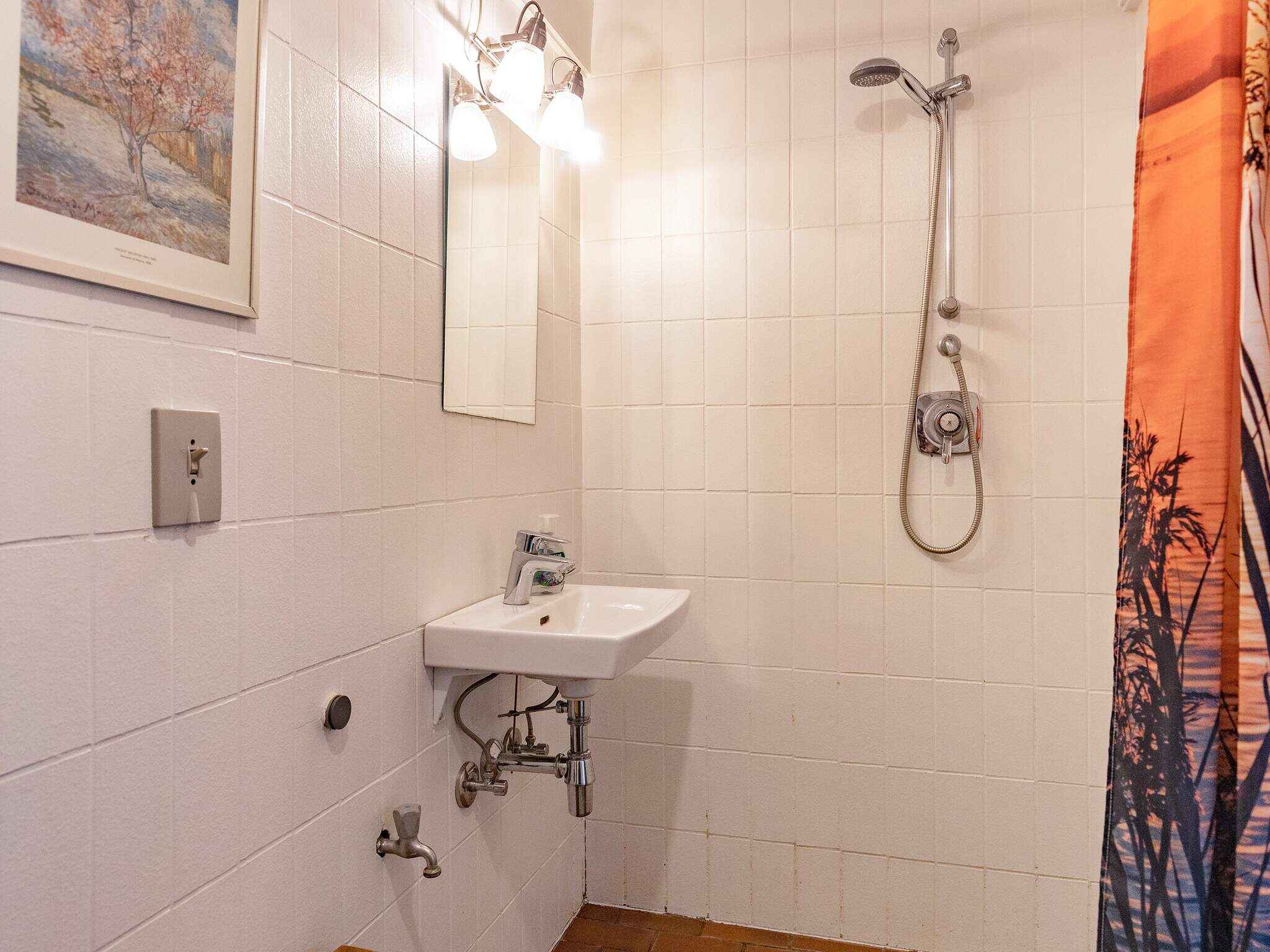 Large Image