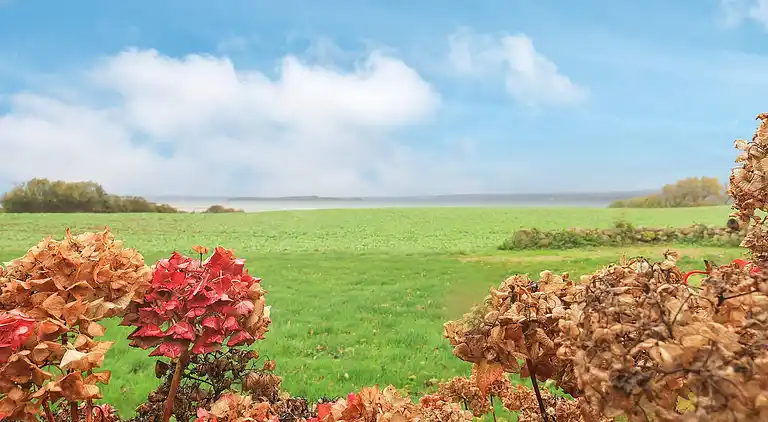 Maison de vacances au Faaborg