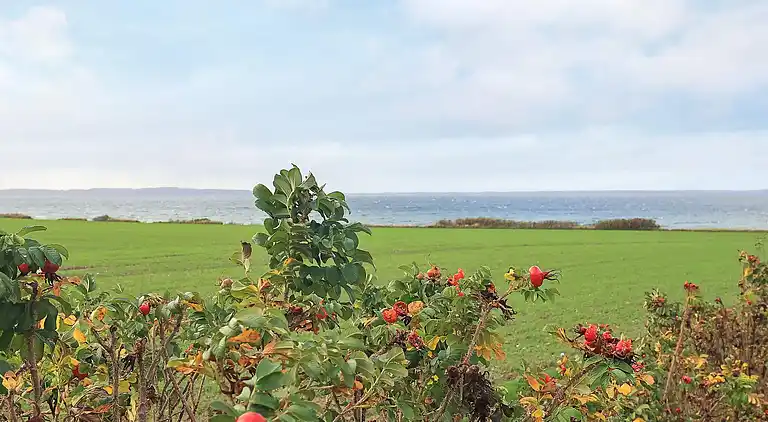 Holiday home in Skåstrup Strand