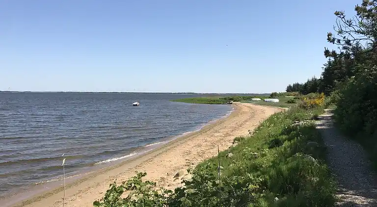 Familievenlig sommerhus ved Vesterhavet