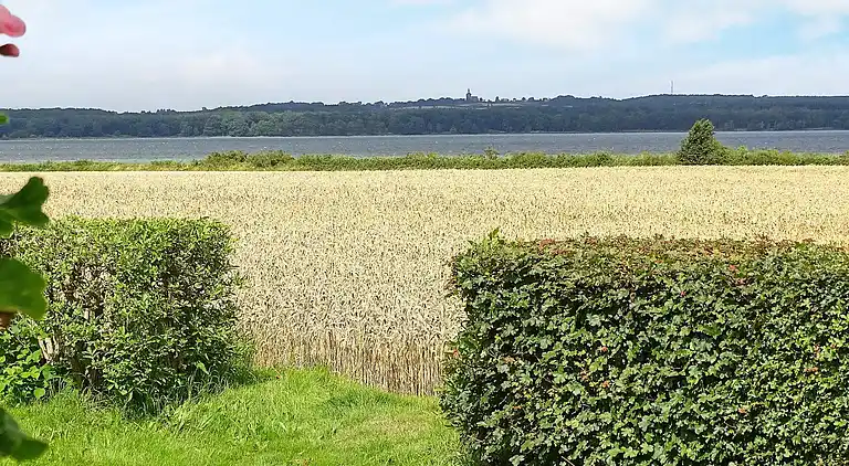 Sommerhus i Svendborg