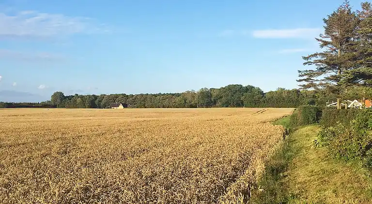 Sommerhus i Svendborg