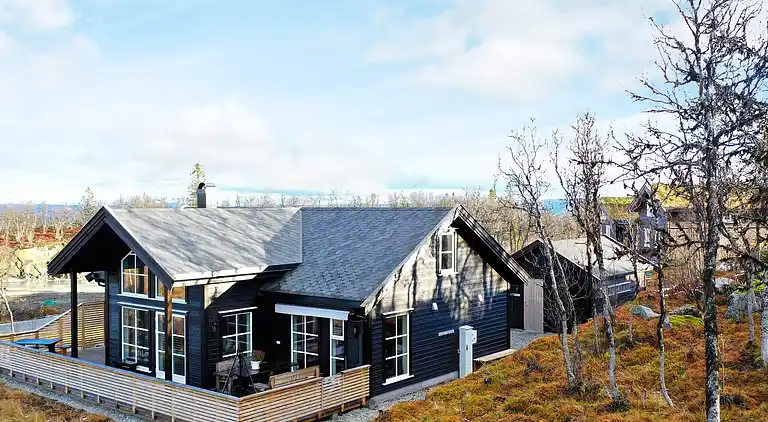 Semesterbostad i Ål