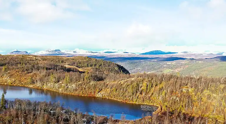 Semesterbostad i Ål