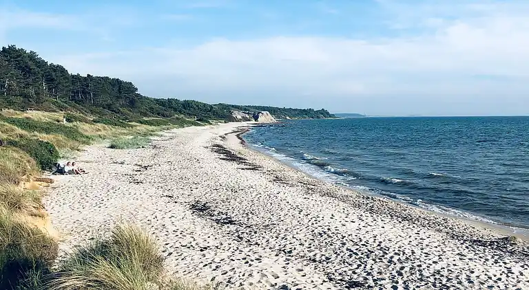 Hyggeligt sommerhus tæt på skov og strand