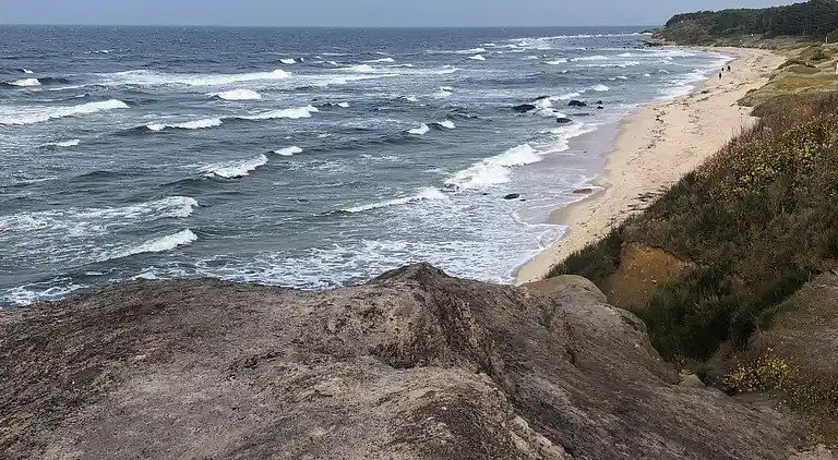 Hyggeligt sommerhus tæt på skov og strand