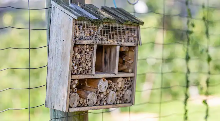 Sommerhus i Gersdorf an der Feistritz