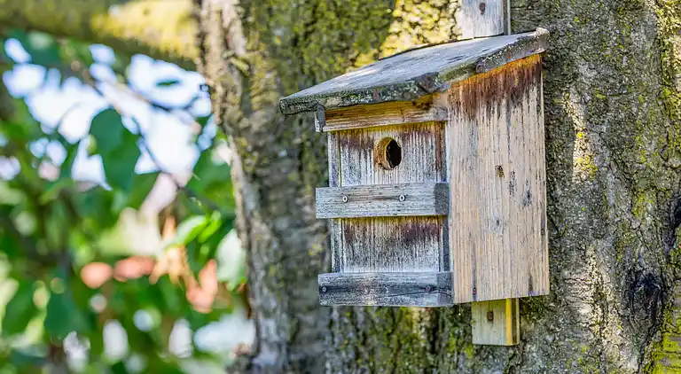 Sommerhus i Gersdorf an der Feistritz