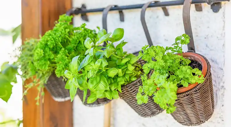 Sommerhus i Gersdorf an der Feistritz