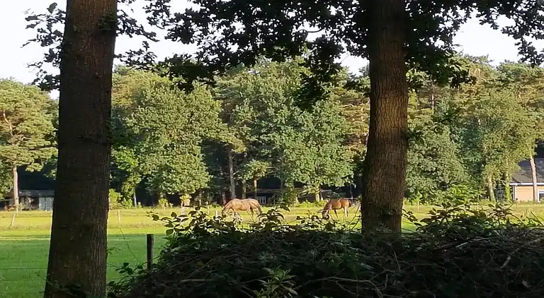 Semesterbostad i Norg