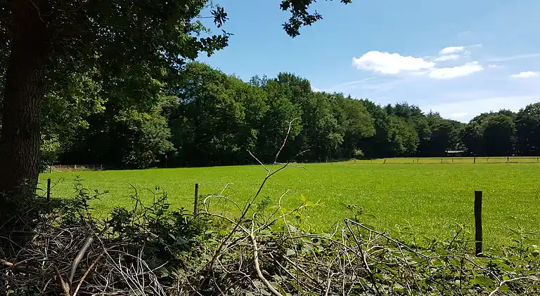 Semesterbostad i Norg