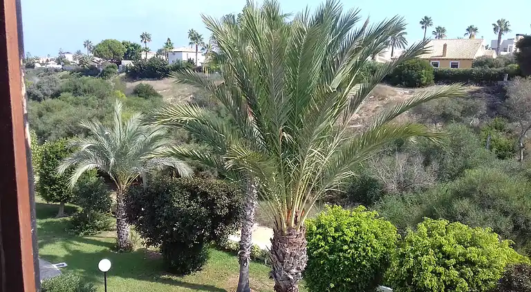 Lägenhet i Orihuela