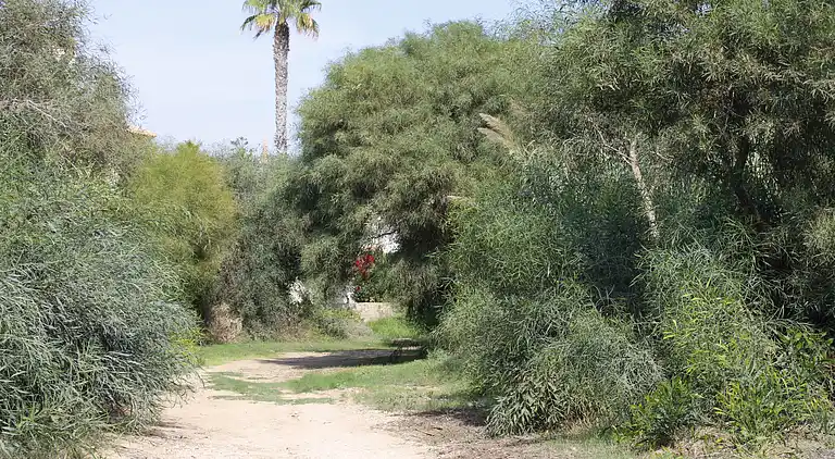 Lägenhet i Orihuela