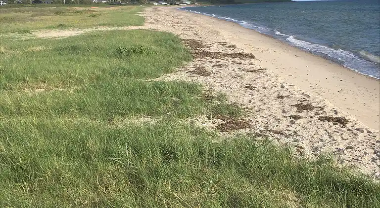 Tolles Holzferienhaus in wunderschöner Umgebung