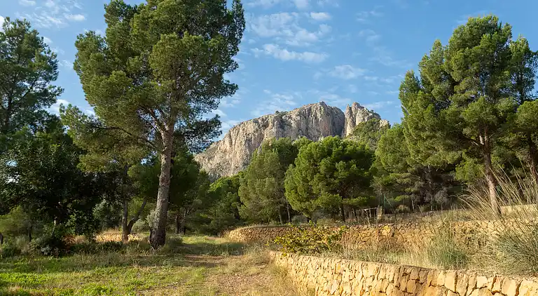 LUXURY VILLA - CASA EL FLARE