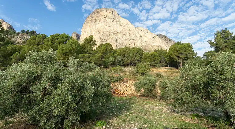 LUXURY VILLA - CASA EL FLARE