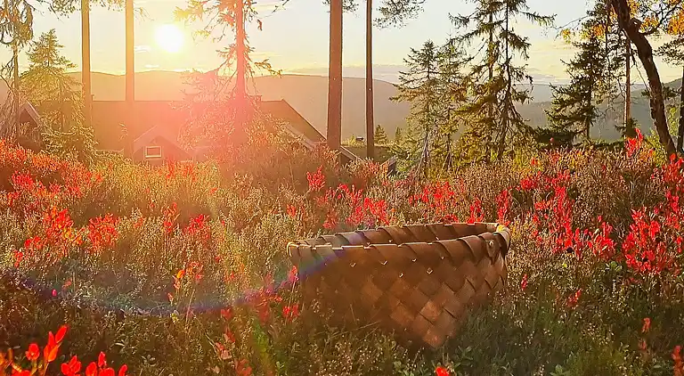 Casa vacanze in Malung NV