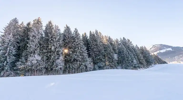 Villa i Kirchberg in Tirol